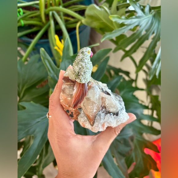 Parrot Carving on Calcite - Picture 6 of 6